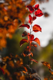 testing-for-portfolio-6